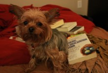 Baci Helps With Thesis