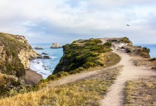 Point Reyes: Hiking & Oysters