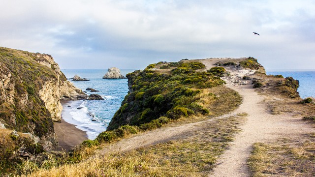 Point Reyes: Hiking & Oysters