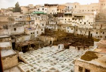 Tanneries & Market in Fes