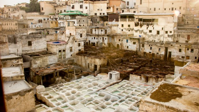 Tanneries & Market in Fes